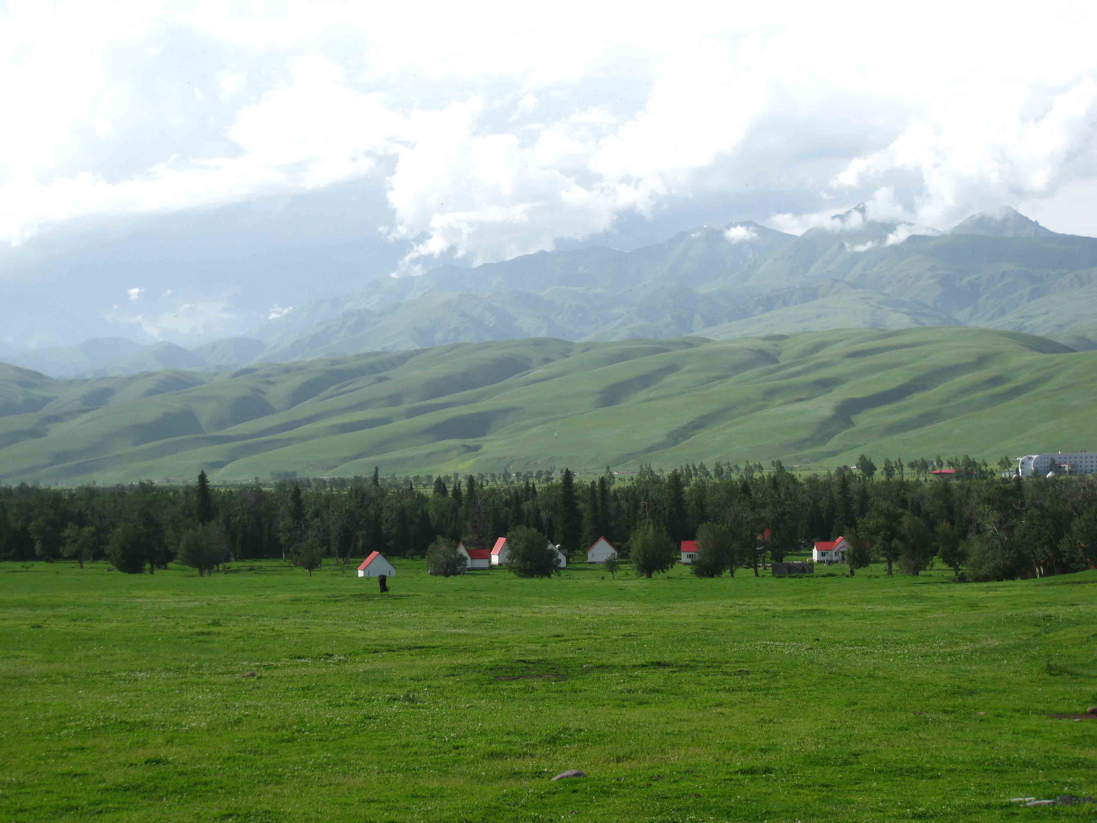  Nalati Grassland 