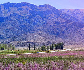 博格达尔温泉 (1).jpg