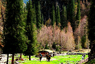 哈日图热格风景区 02.jpg