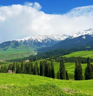 Naraty in April.jpg Naraty in April.jpg