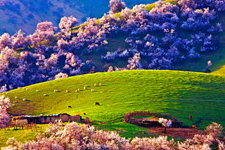 Xinjiang Weather in April