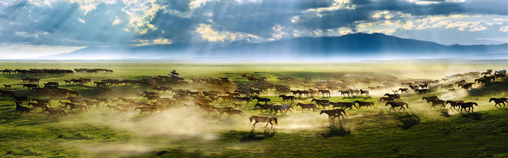 Xinjiang Horseback Riding Tours