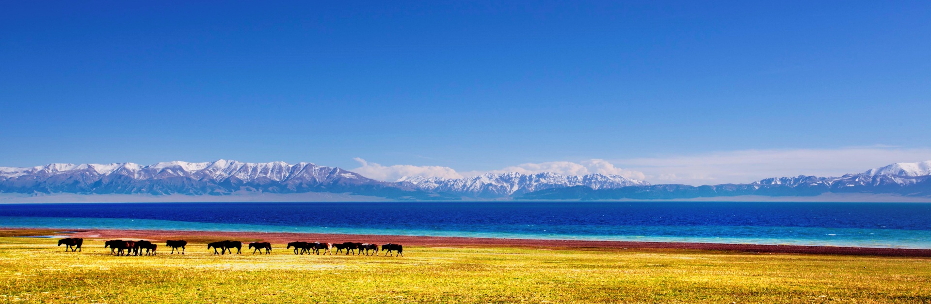 Xinjiang Horseback Riding Tours