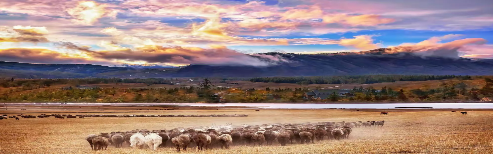 Xinjiang Horseback Riding Tours