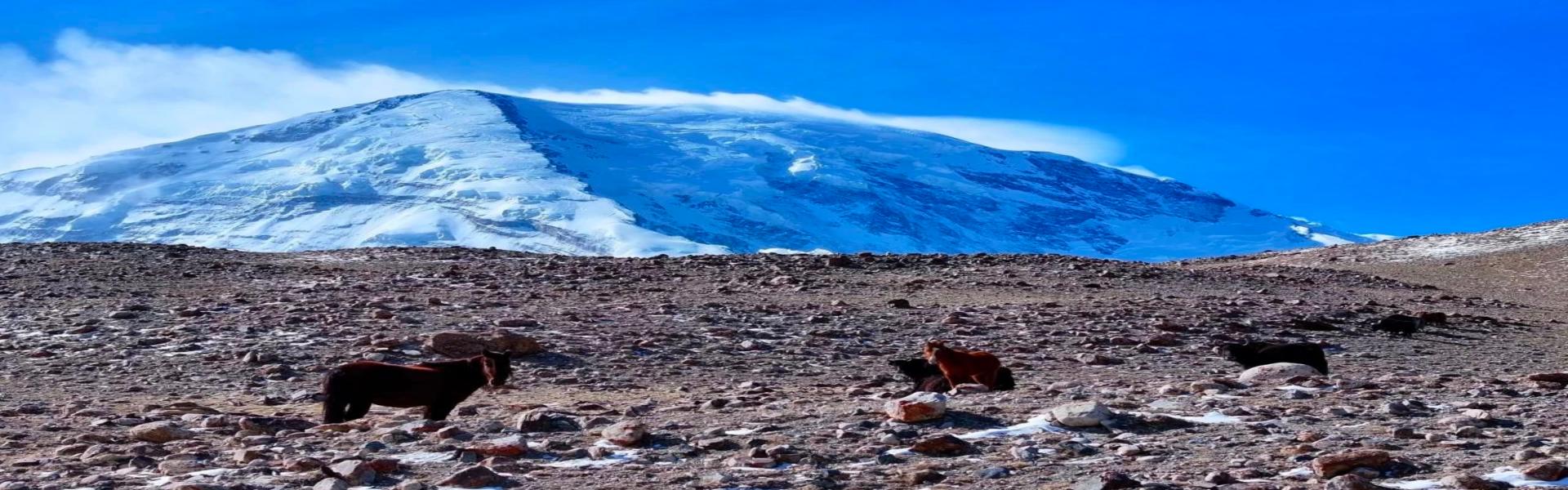 Xinjiang Horseback Riding Tours