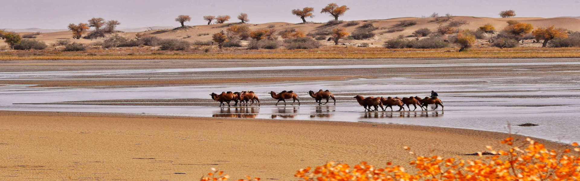 Xinjiang Adventure Tours