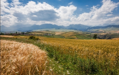 Jiangbrak.jpg.jpg Jiangbrak.jpg.jpg