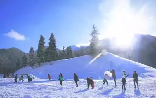 winter-of-nanshan.jpeg winter-of-nanshan.jpeg