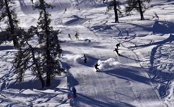 Wild Snow Park.jpg Wild Snow Park.jpg